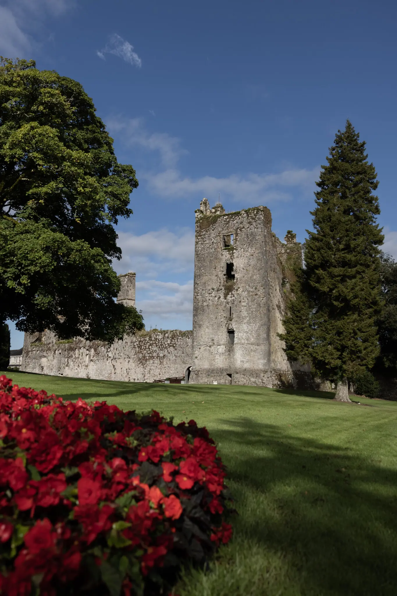 Руїни замку на території курорту Castlemartyr мають 800-річну історію.